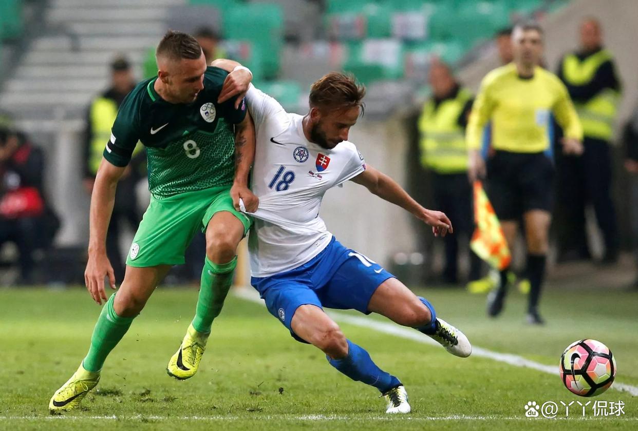 开云体育在线-斯洛伐克球队在比赛中大显身手