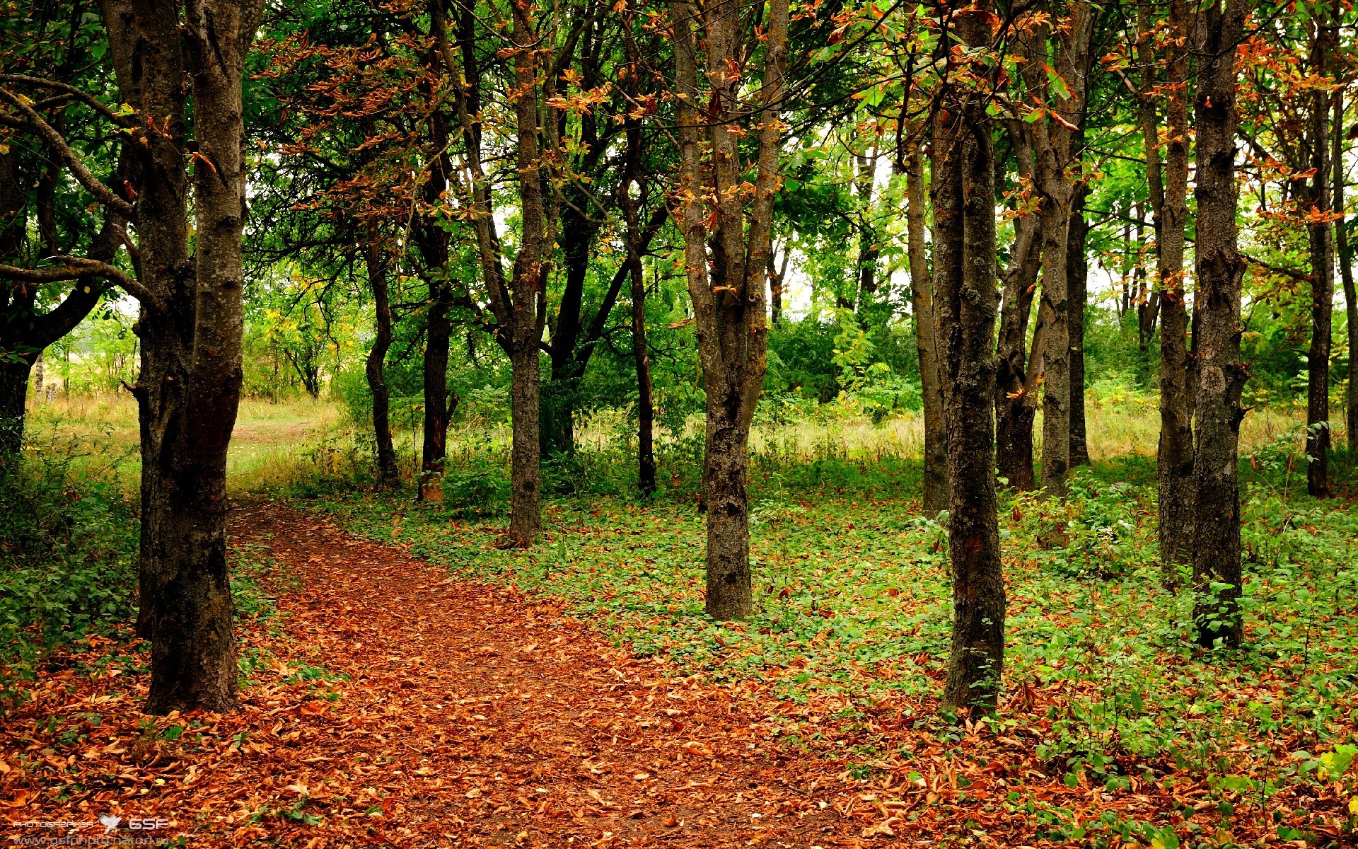 如果质疑是遮蔽光芒的云，今夜，哈登的后撤步将星空划破